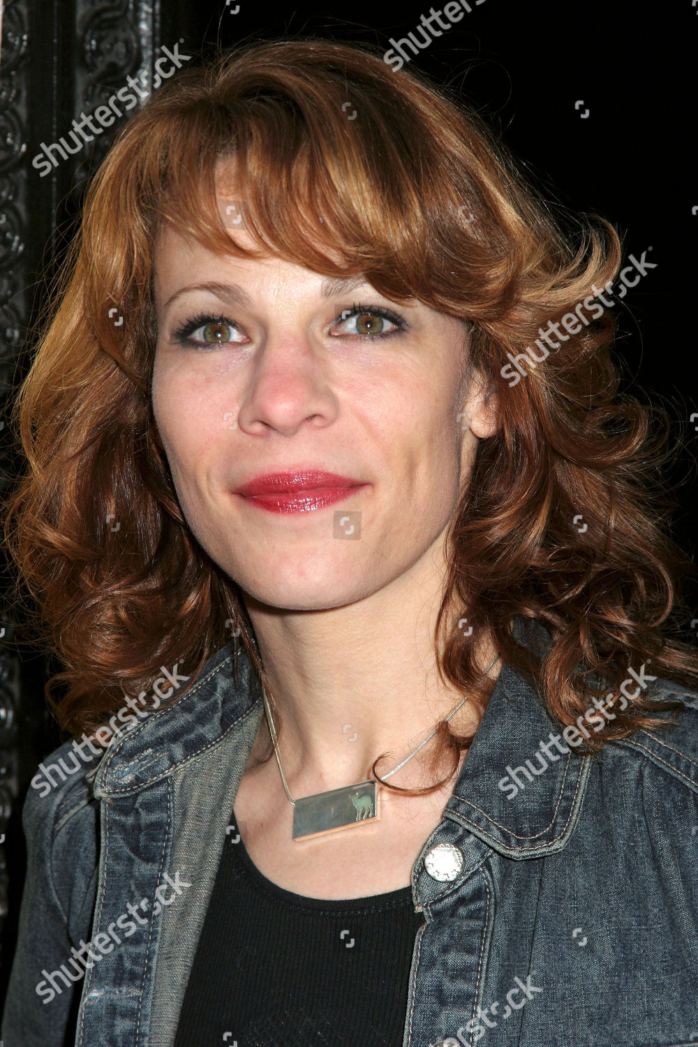 Lili Taylor Editorial Stock Photo - Stock Image | Shutterstock