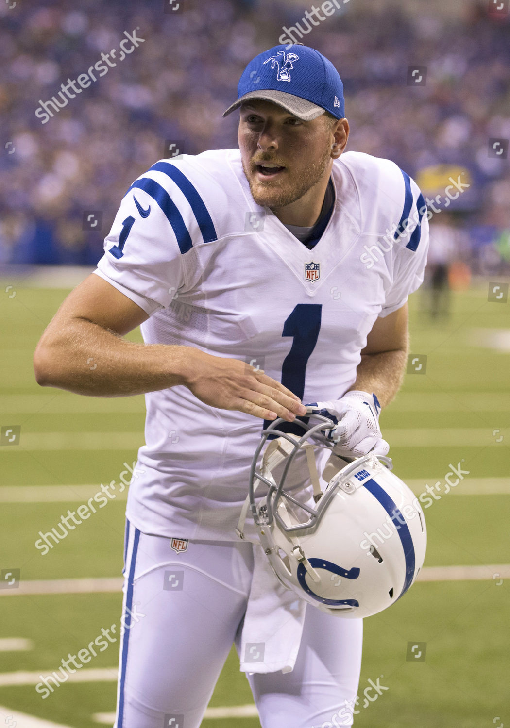 Indianapolis Colts Punter Pat Mcafee 1 Editorial Stock Photo - Stock ...