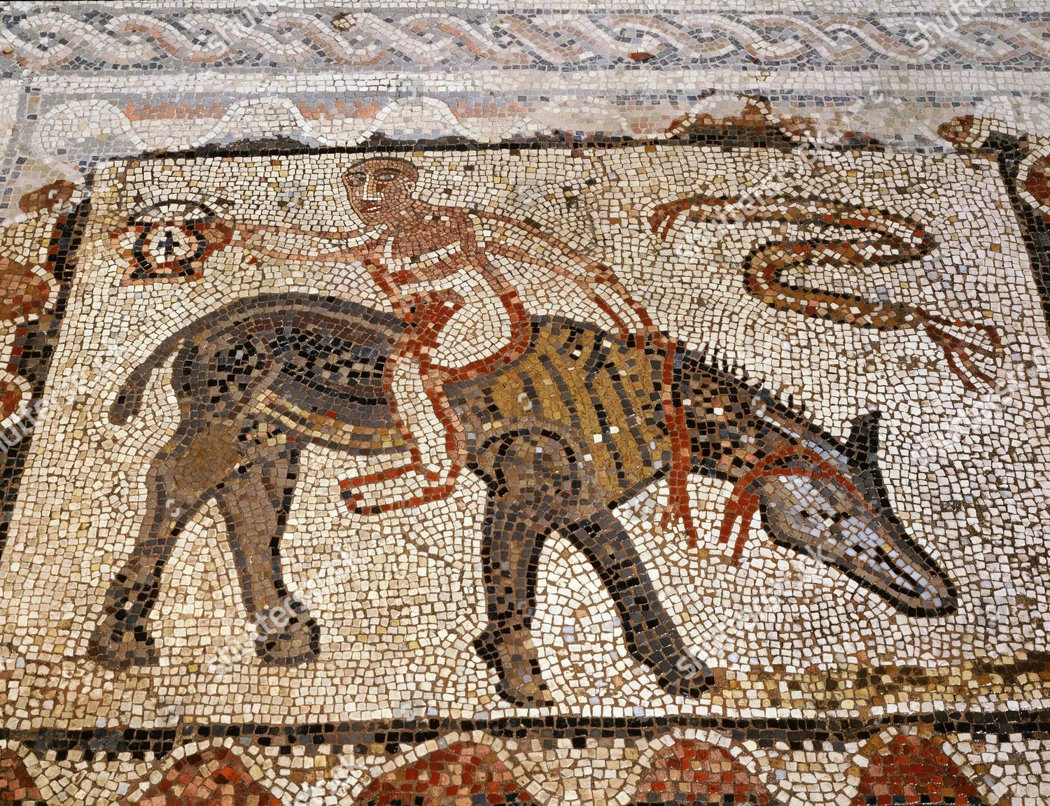 Mosaic Desultor Acrobatic Horseman House Showing Editorial Stock Photo ...