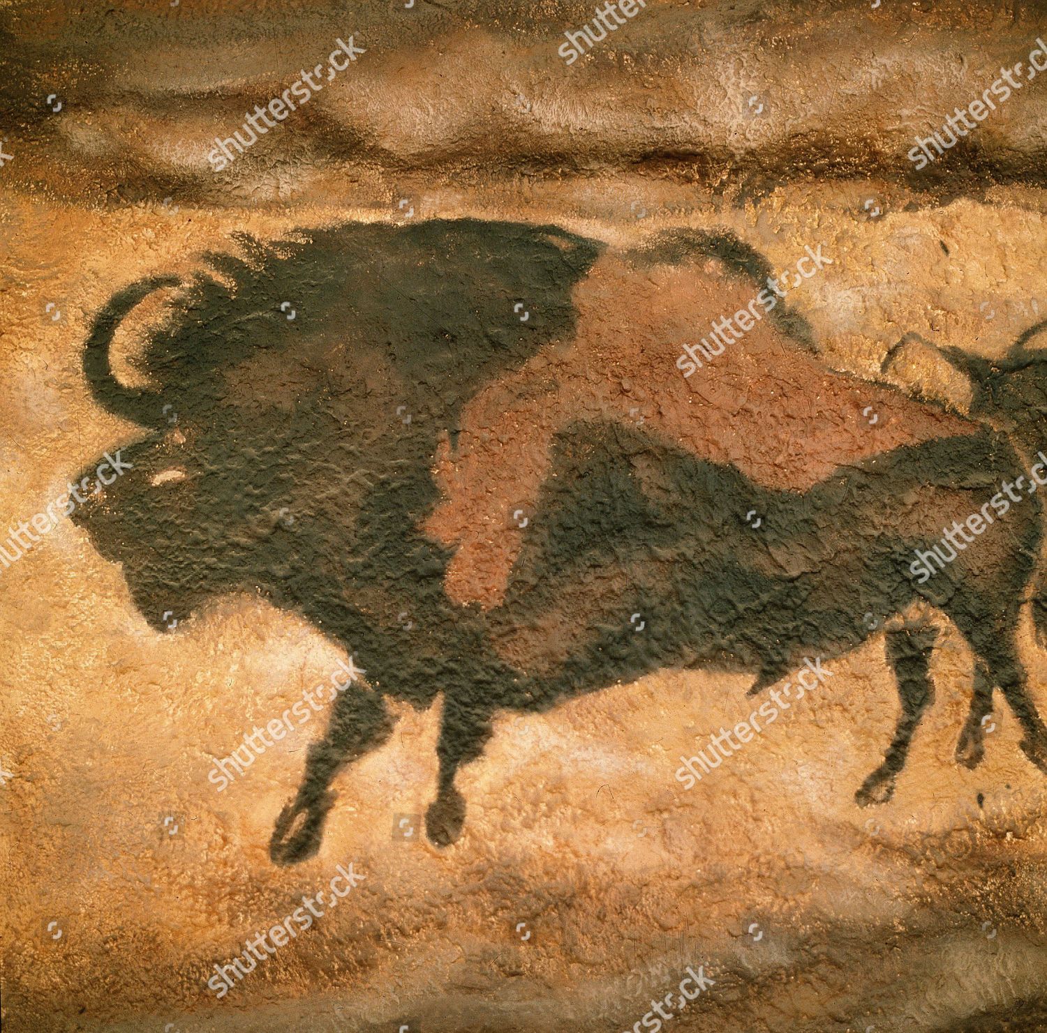 paleolithic cave painting titled injured bison        
        <figure class=