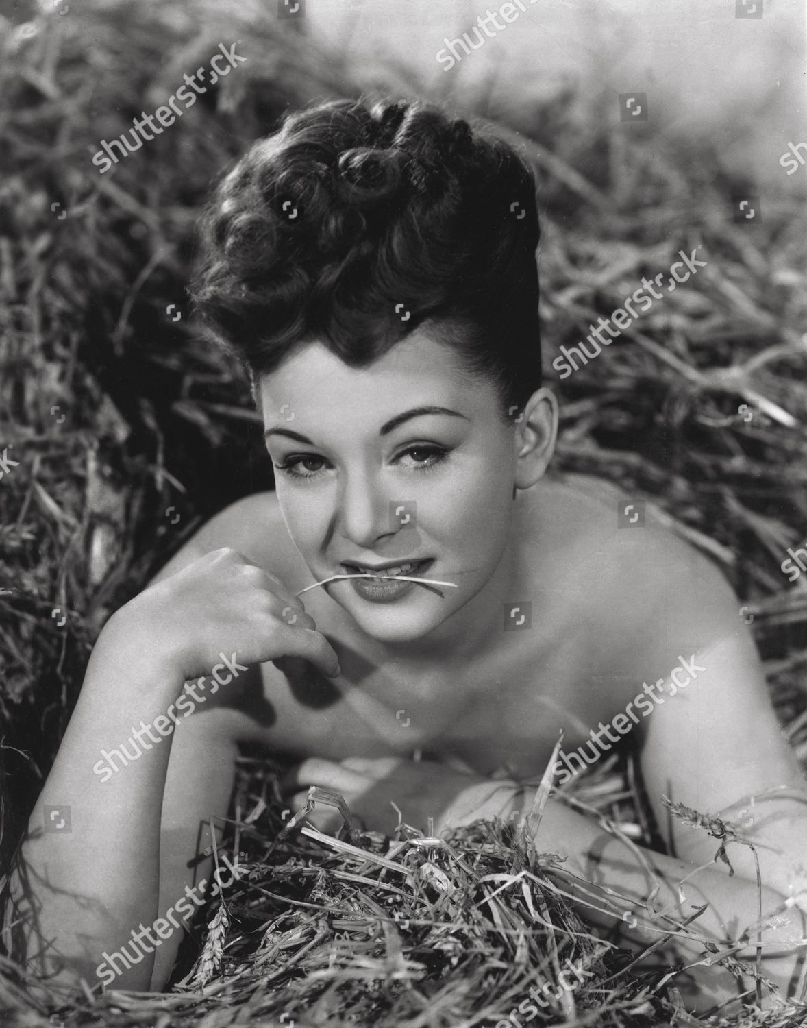 Rinko Kikuchi,Dakota Ditcheva Muay Thai Hot video Rosemarie Sonora (b. 1948),Annette Funicello Toni Scanlan,Nikki Tyler Adult image Emma Catherwood,Liu Bosisio
