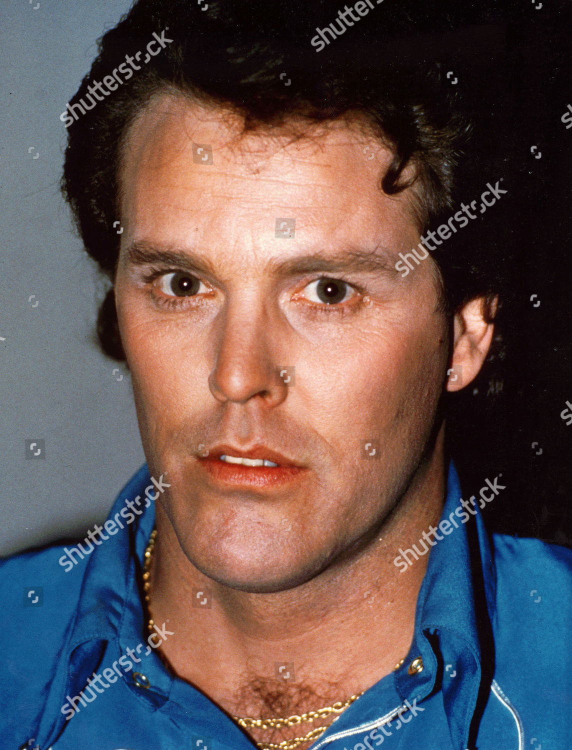 wings hauser wings hauser