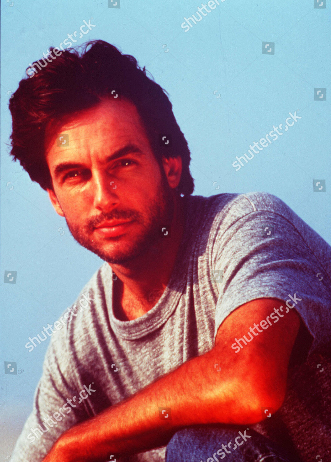 Mark Harmon Editorial Stock Photo - Stock Image | Shutterstock