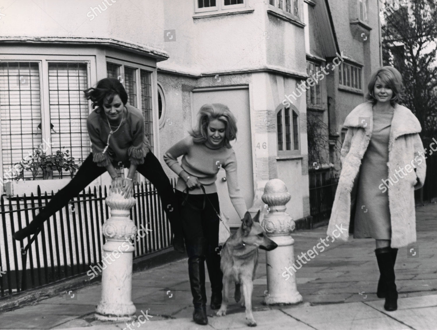 Francesca Annis Suzanna Leigh Colleen Fitzpatrick Editorial Stock Photo ...