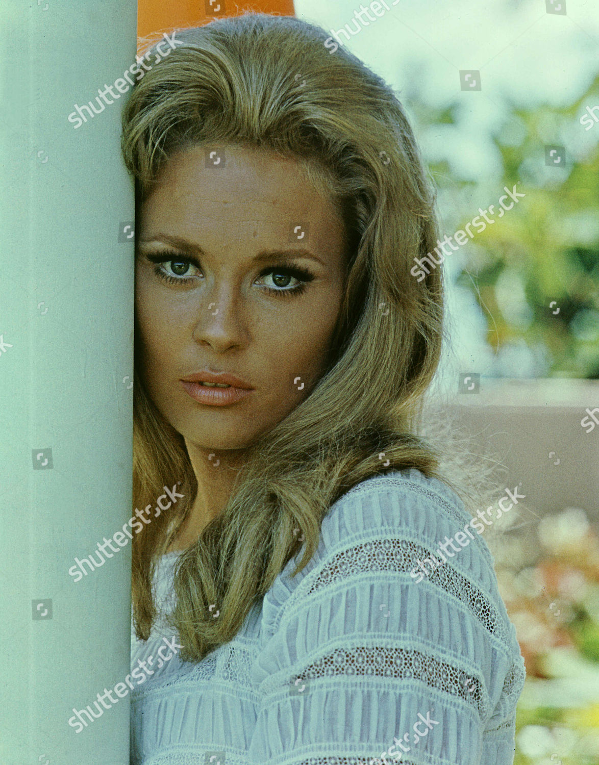 Faye Dunaway Redakcionnaya Stokovaya Fotografiya Stokovoe Izobrazhenie Shutterstock