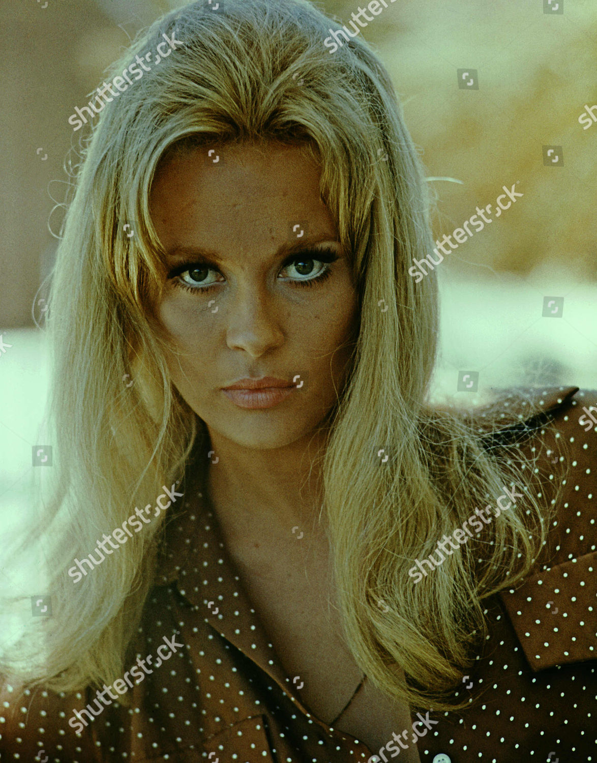 Faye Dunaway Editorial Stock Photo Stock Image Shutterstock