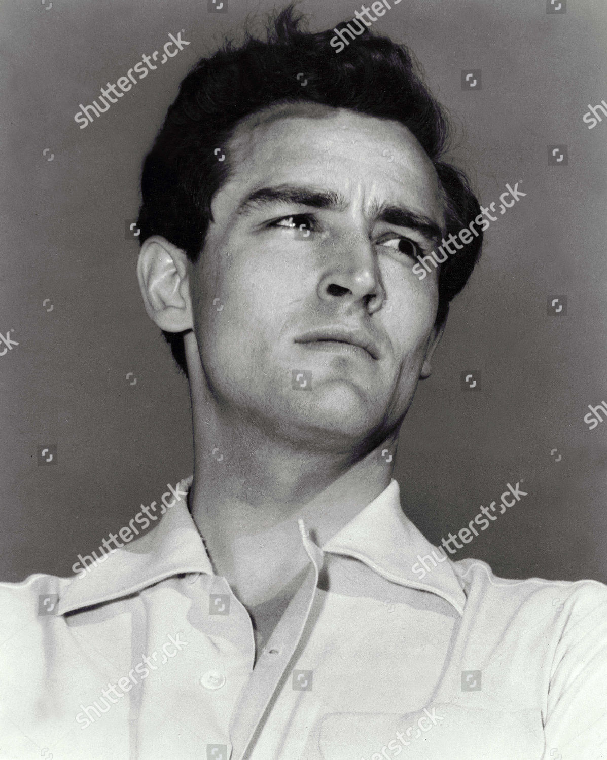 vittorio gassman