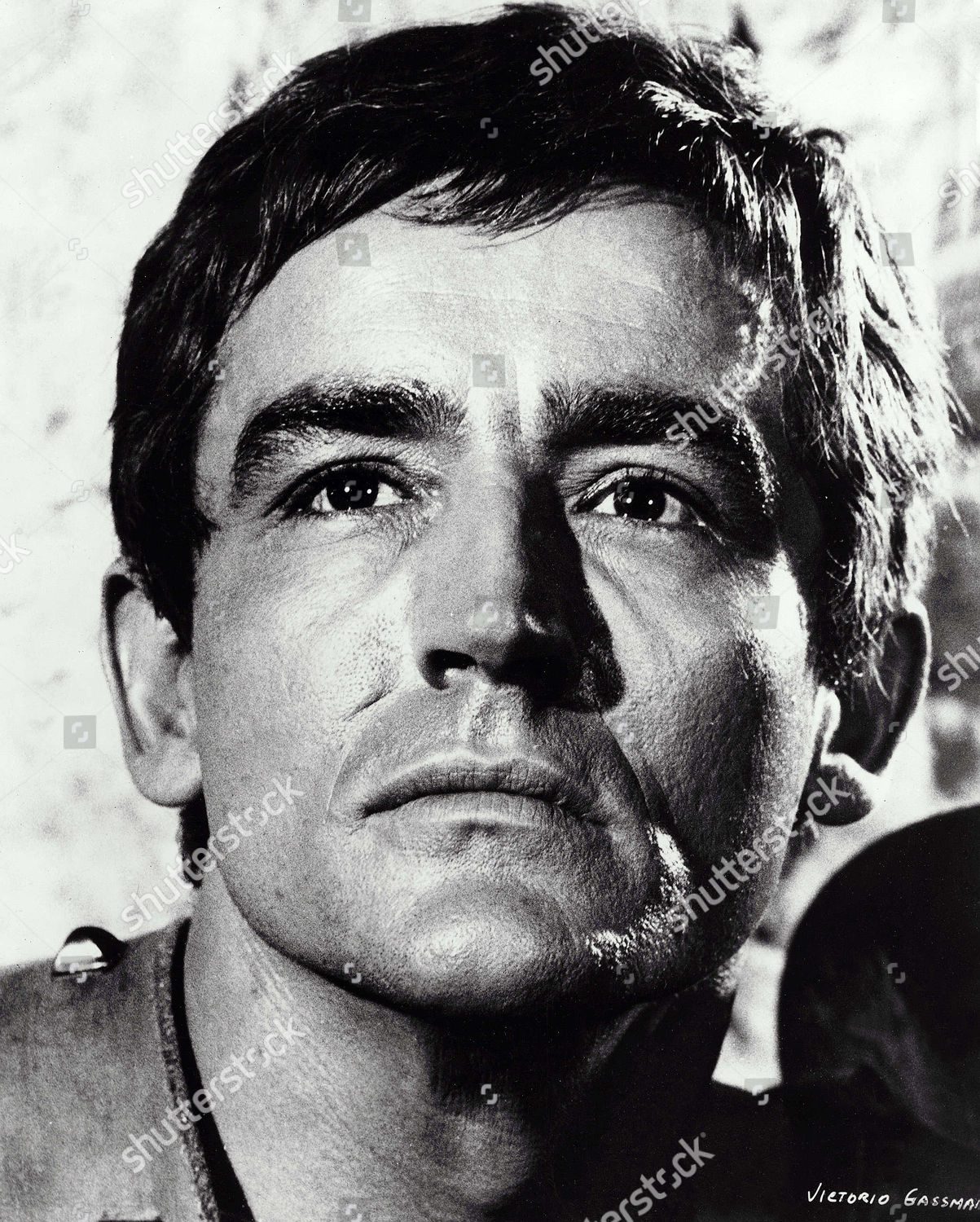 vittorio gassman