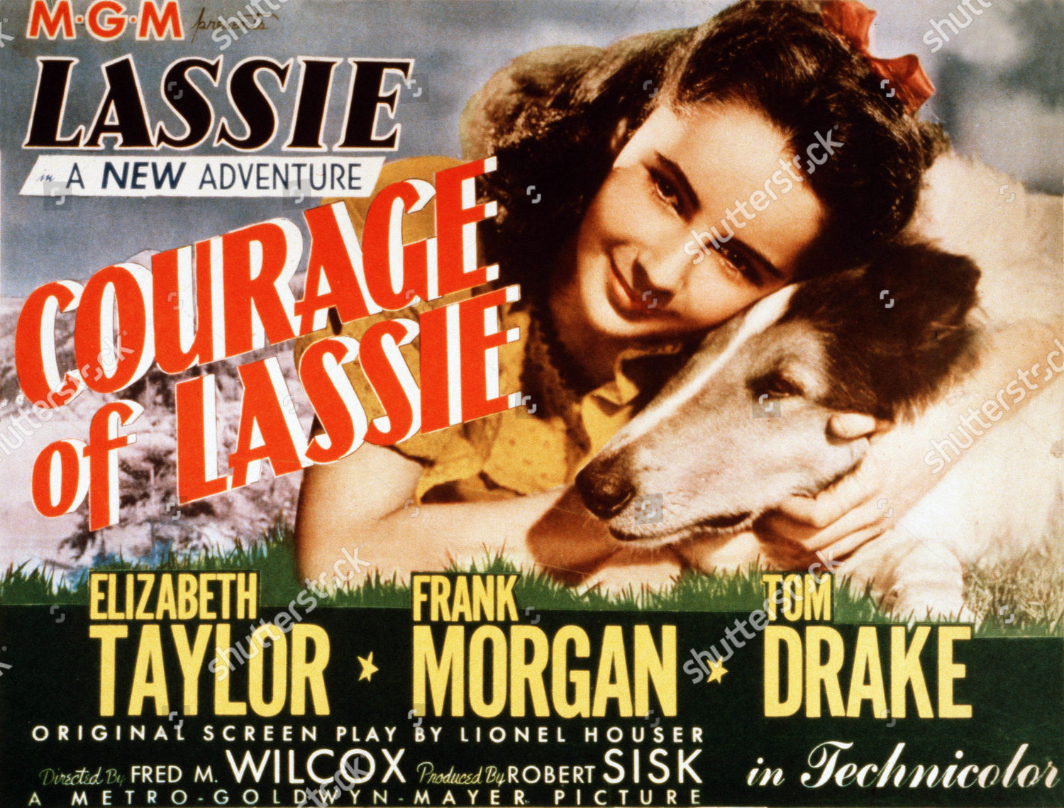 The Courage of Lassie, Full Movie