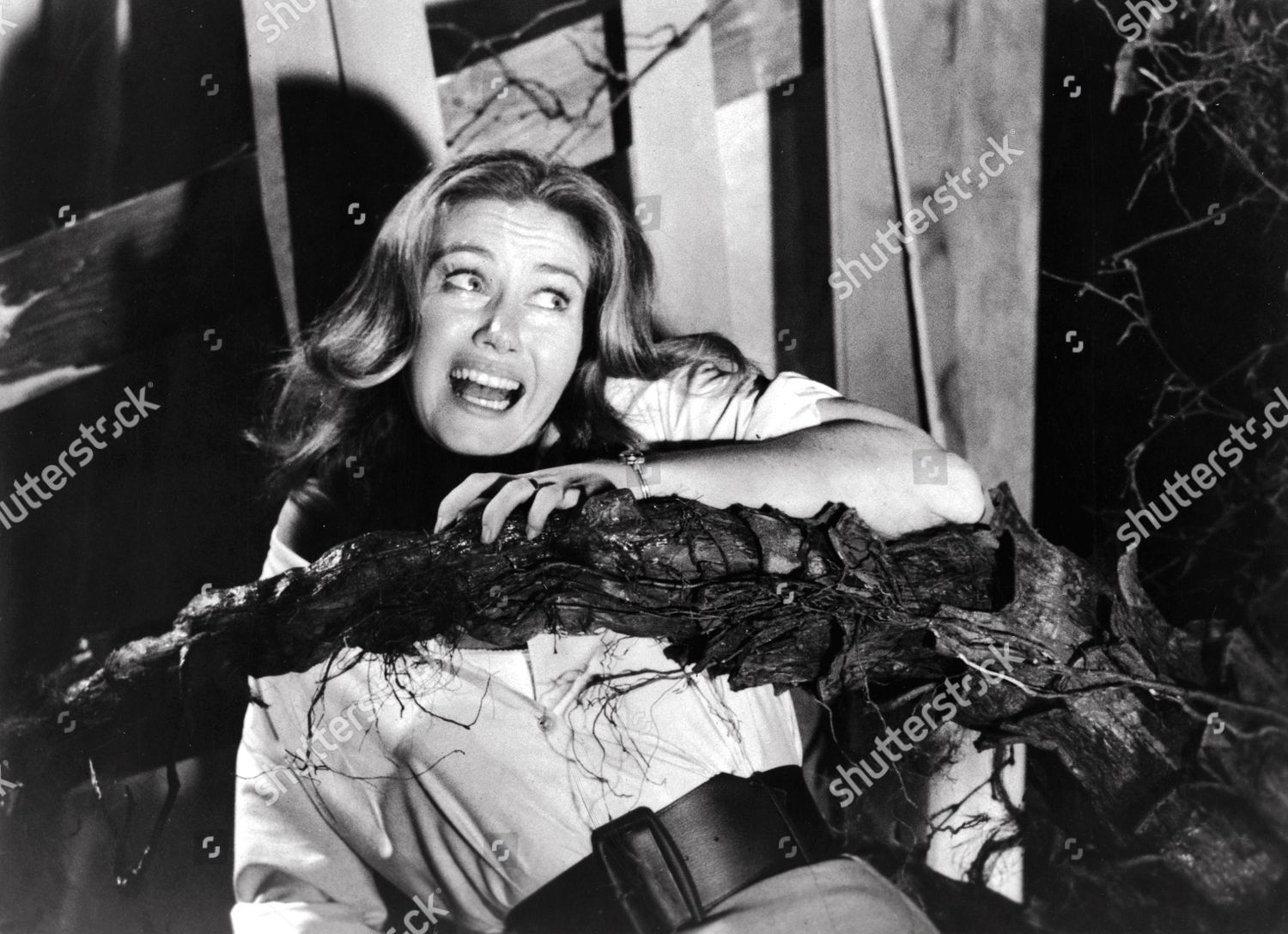 Janette Scott naked (64 fotos) Feet, Twitter, panties