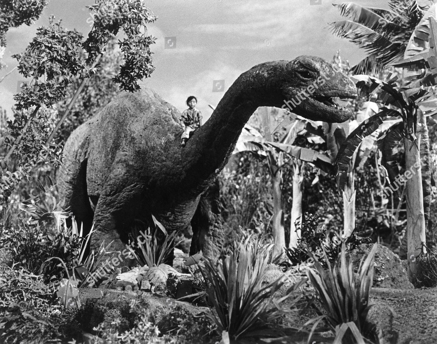 Dinosaurus 1960 のエディトリアルストック写真 ストック画像 Shutterstock Dinosaurus 1960 のエディトリアルストック写真 ストック画像 Shutterstock