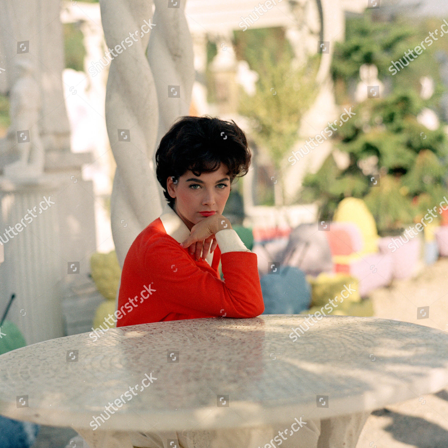 Suzanne Pleshette Editorial Stock Photo - Stock Image | Shutterstock