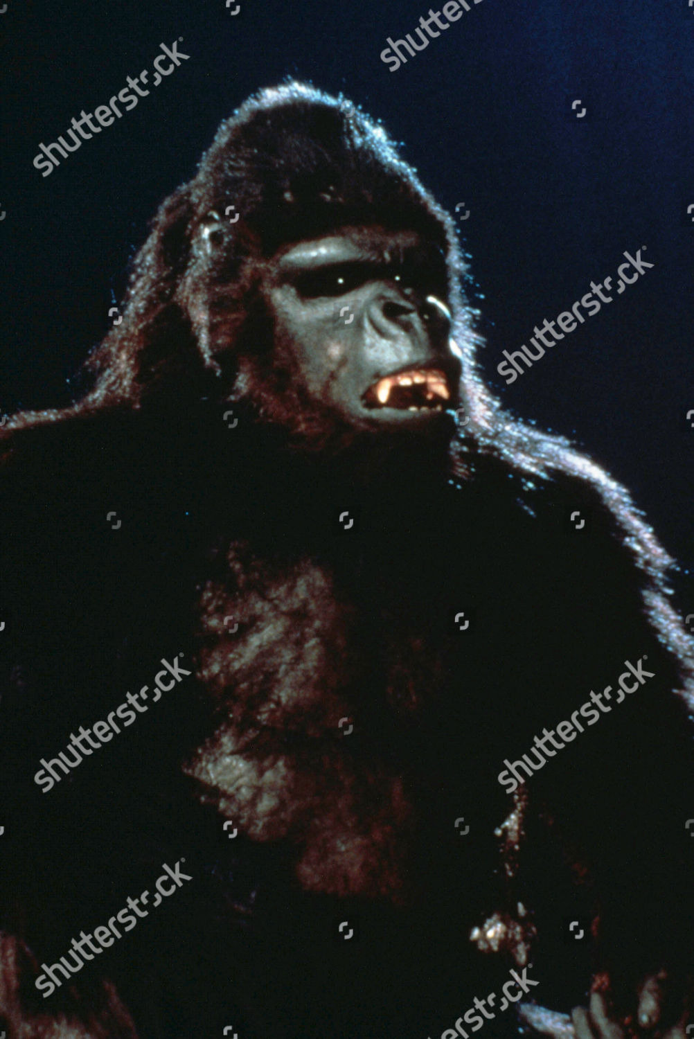 King Kong Lives 1986 Editorial Stock Photo Stock Image Shutterstock