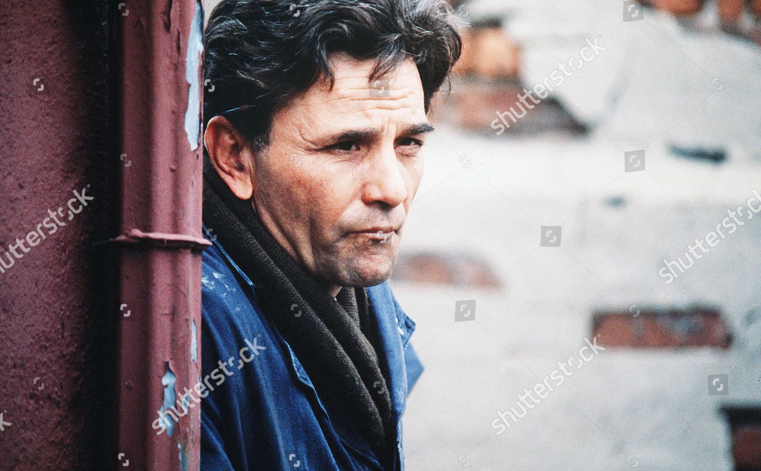 Peter Falk Editorial Stock Photo - Stock Image | Shutterstock