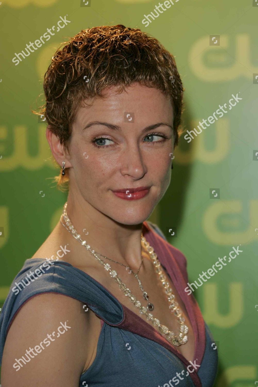 Leslie Hope Editorial Stock Photo - Stock Image | Shutterstock