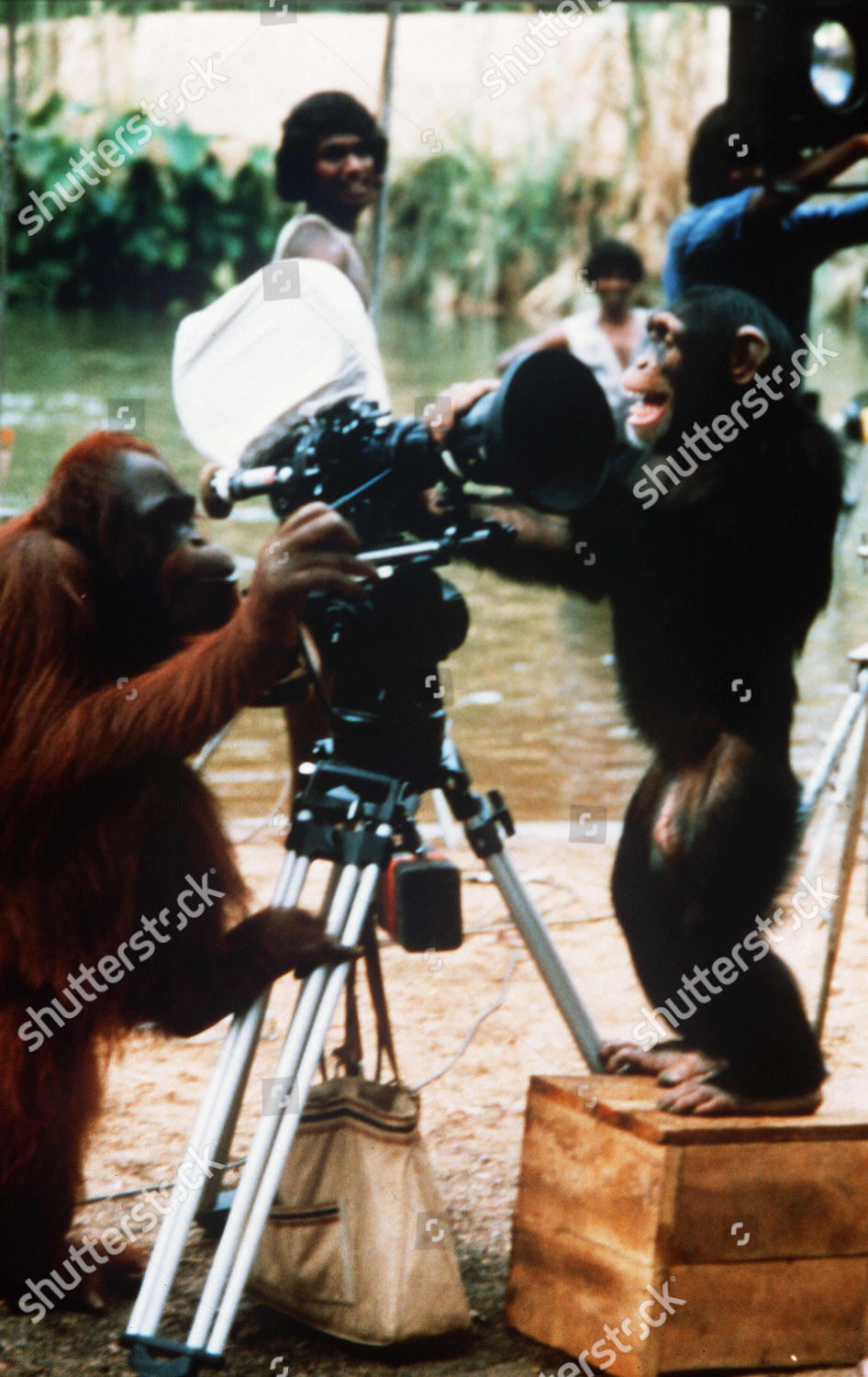 tarzan the ape man 1981 full movie dailymotion