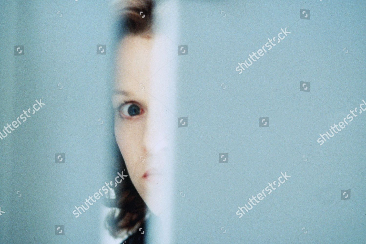 Penelope Ann Miller Editorial Stock Photo - Stock Image | Shutterstock