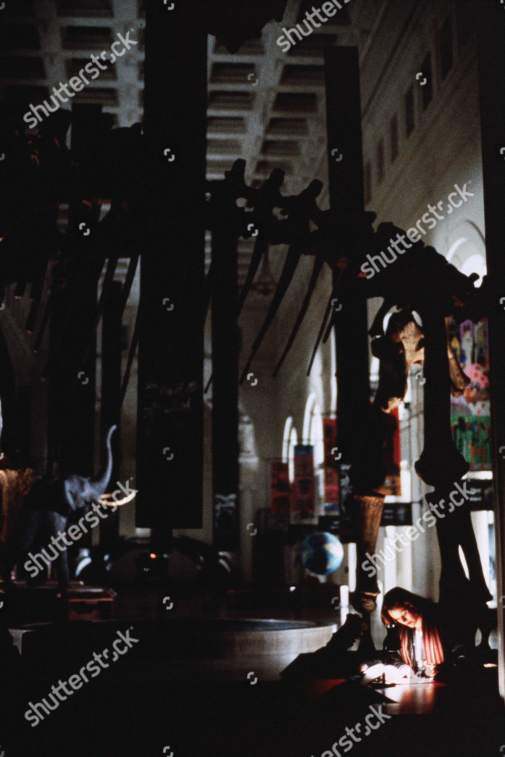 Penelope Ann Miller Editorial Stock Photo - Stock Image | Shutterstock