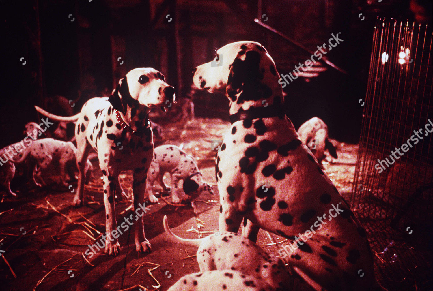 101 Dalmatians 1996 Editorial Stock Photo Stock Image Shutterstock