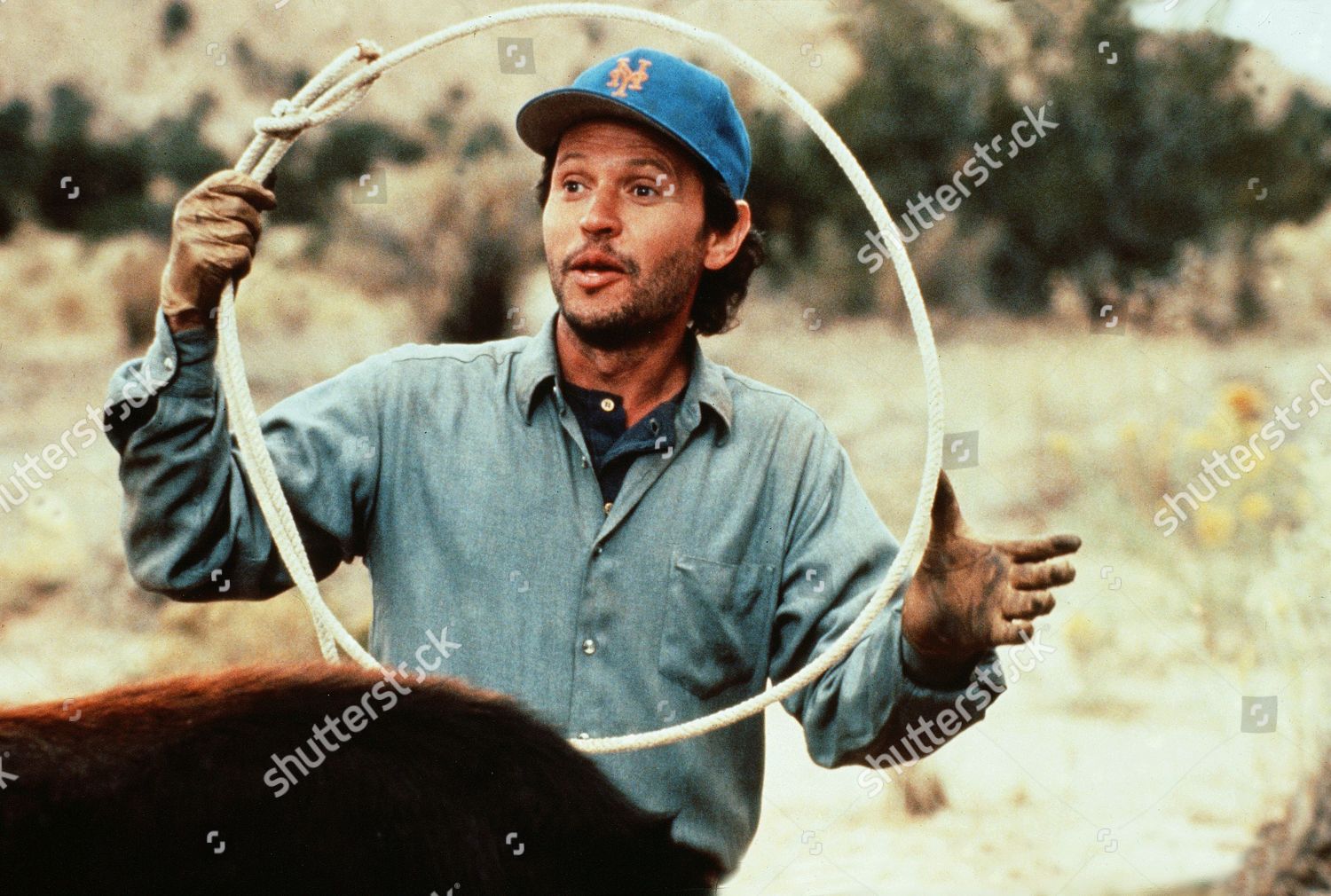 Billy Crystal Editorial Stock Photo - Stock Image | Shutterstock