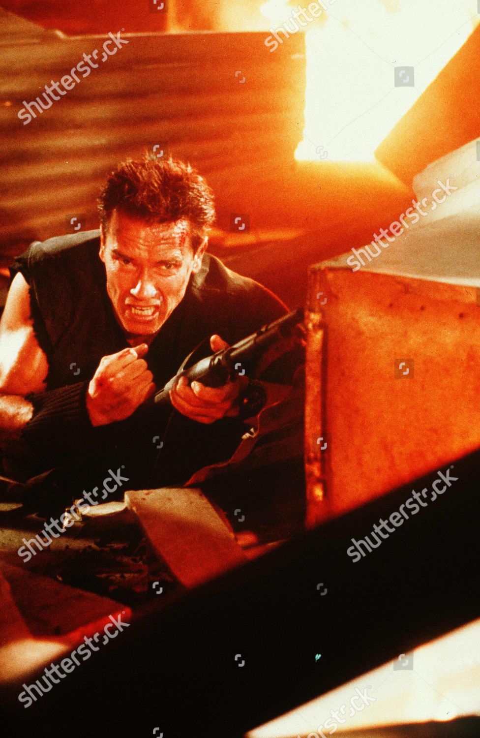 Arnold Schwarzenegger Editorial Stock Photo - Stock Image | Shutterstock