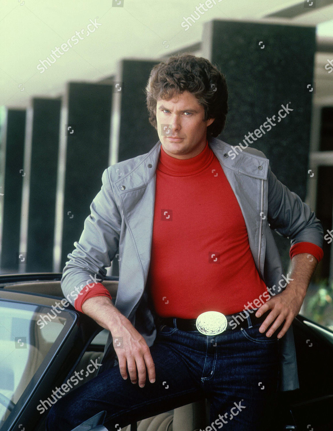 David Hasselhoff Editorial Stock Photo - Stock Image | Shutterstock