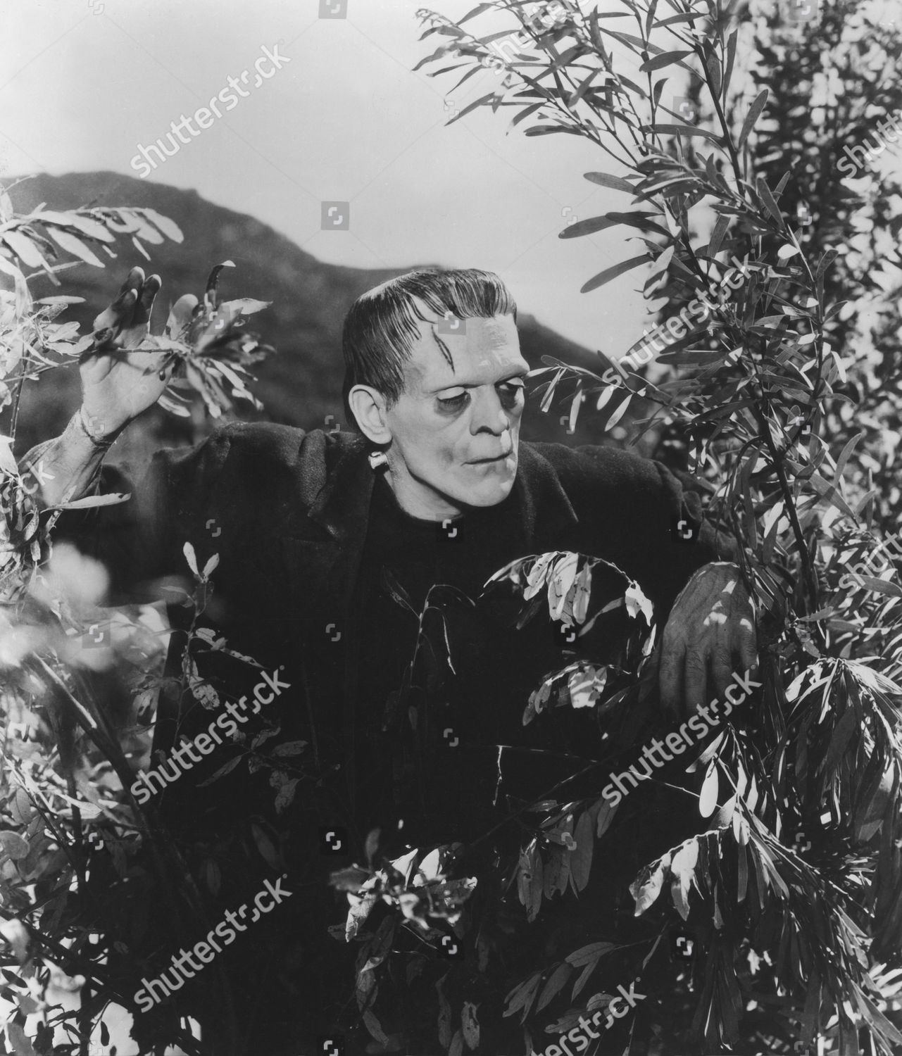 Boris Karloff Editorial Stock Photo - Stock Image | Shutterstock