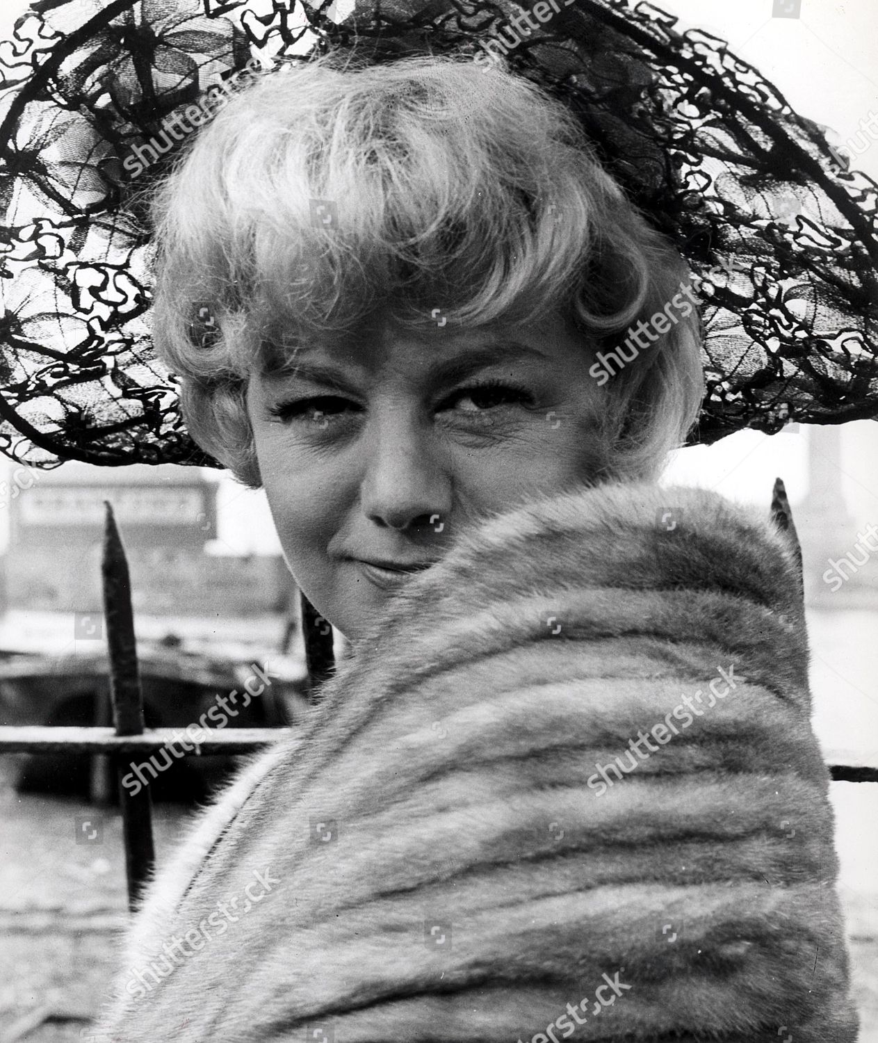 Shelley Winters Editorial Stock Photo - Stock Image | Shutterstock