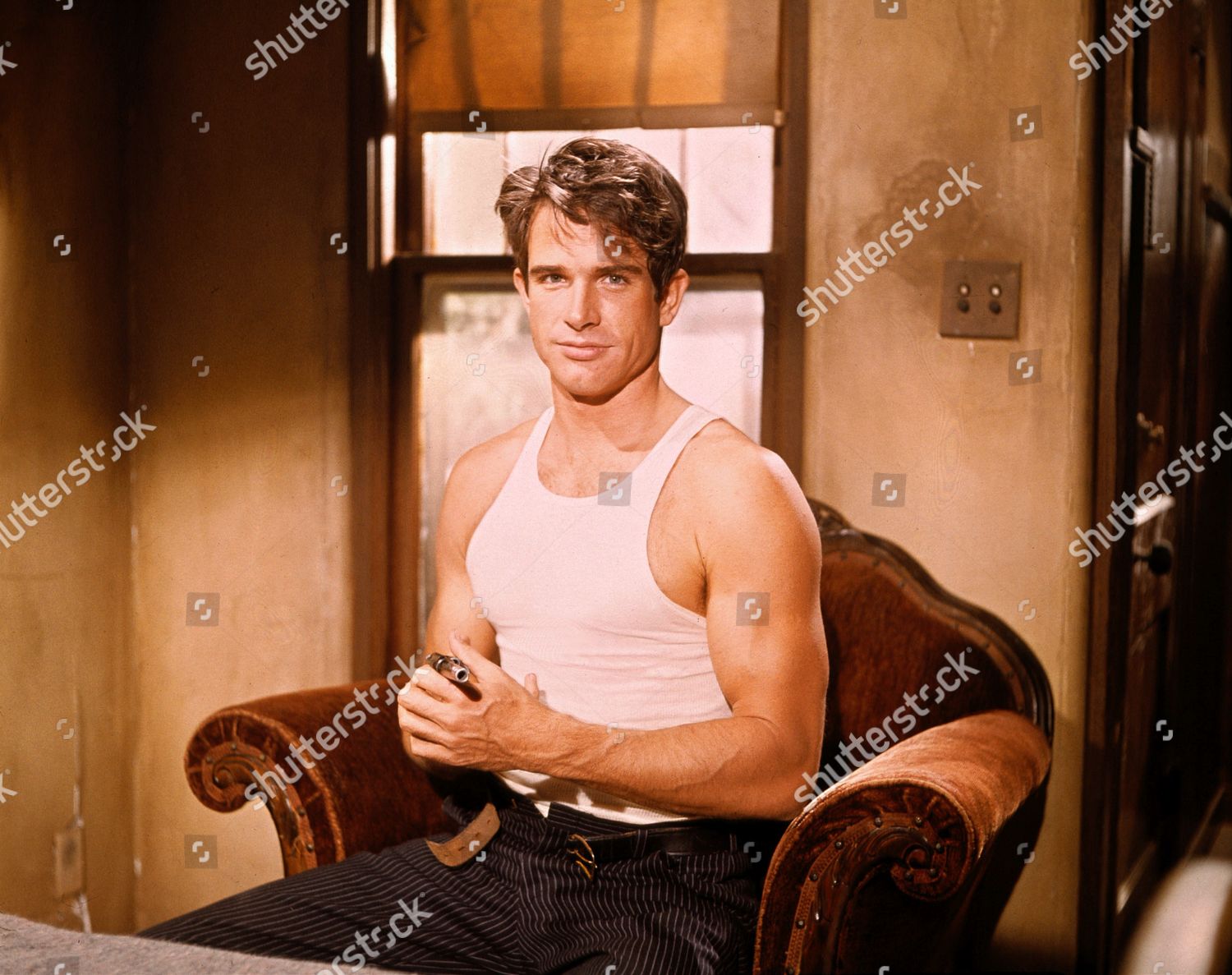 Warren Beatty Editorial Stock Photo - Stock Image | Shutterstock