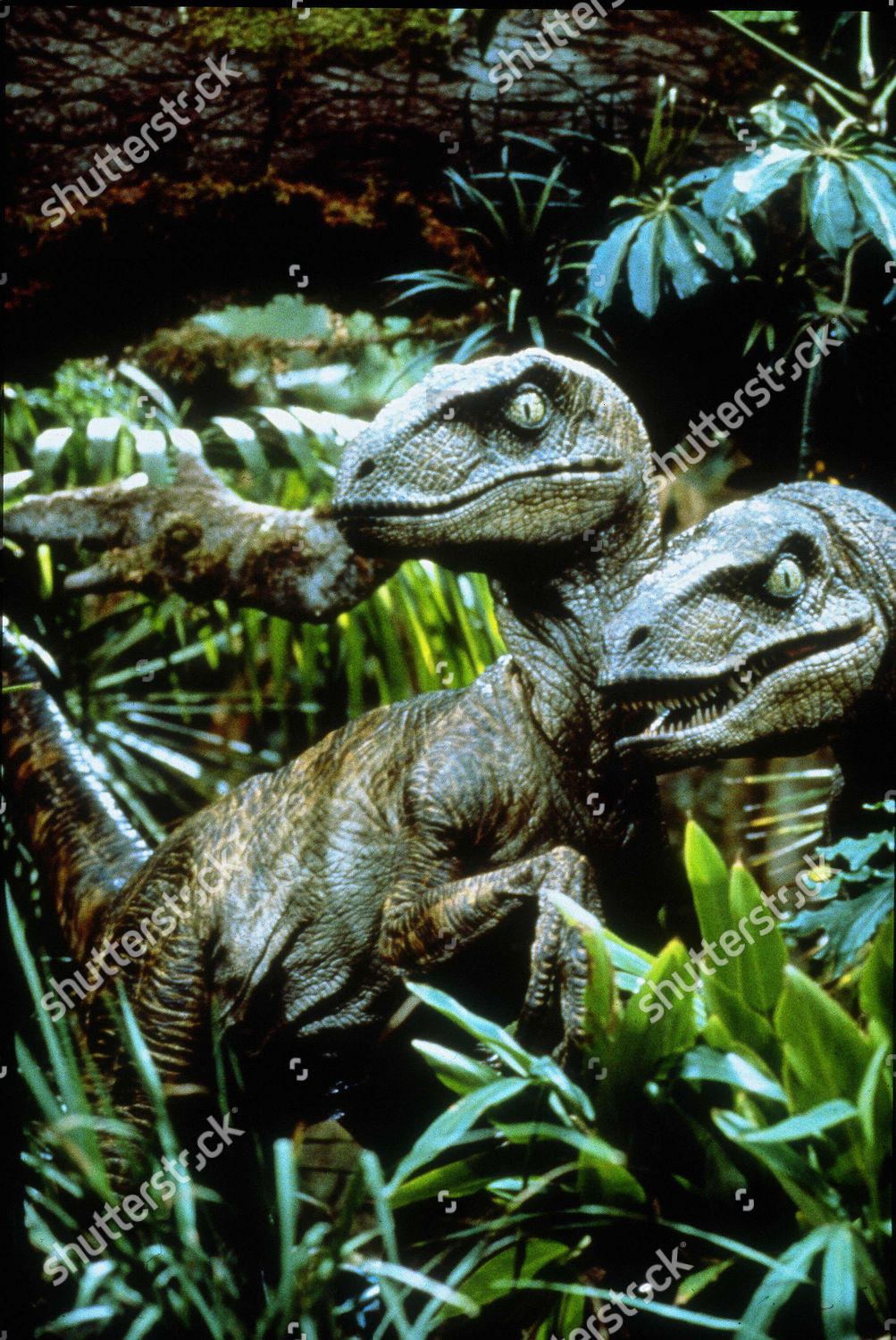 1993 Jurassic Park