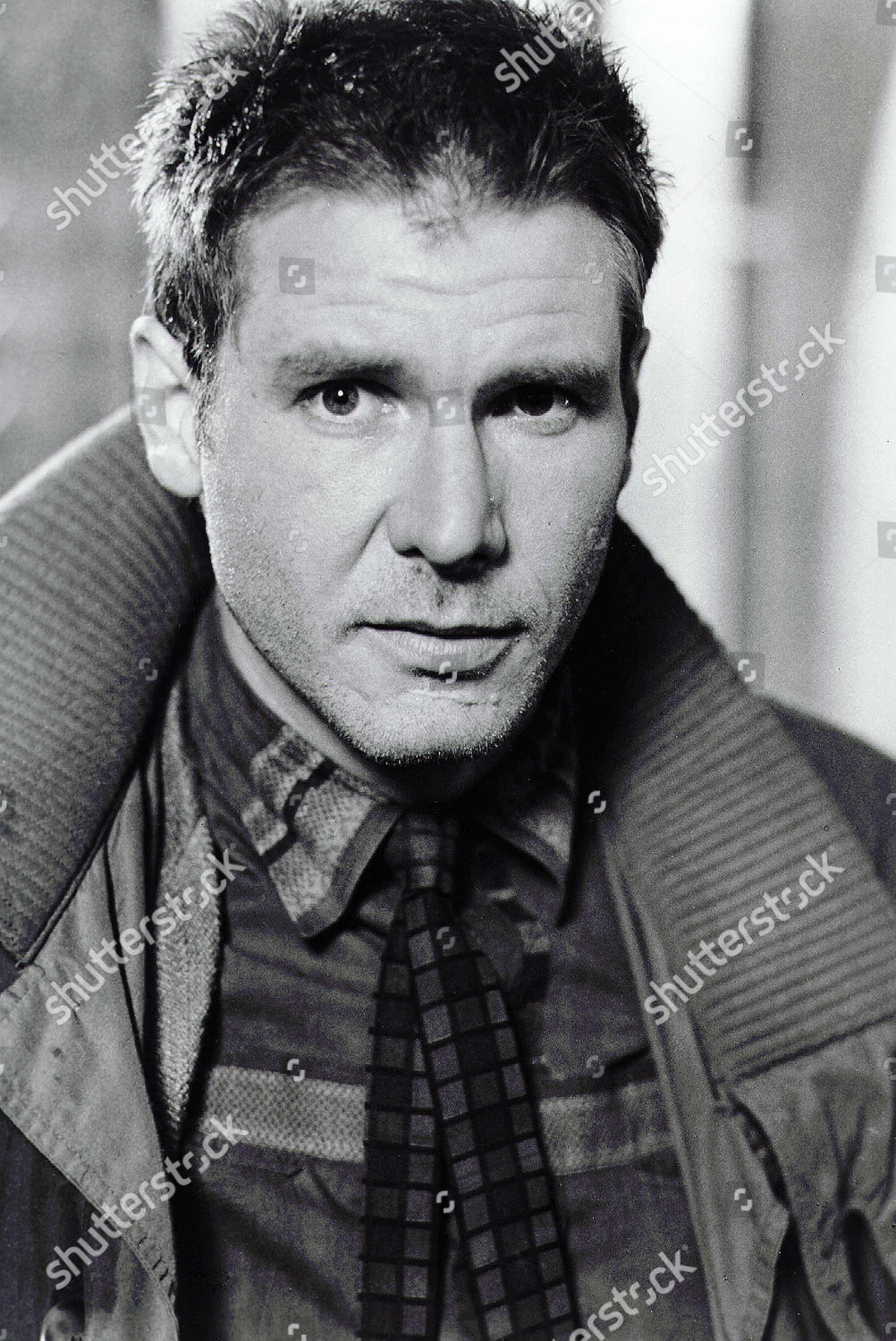 Harrison Ford Editorial Stock Photo - Stock Image | Shutterstock