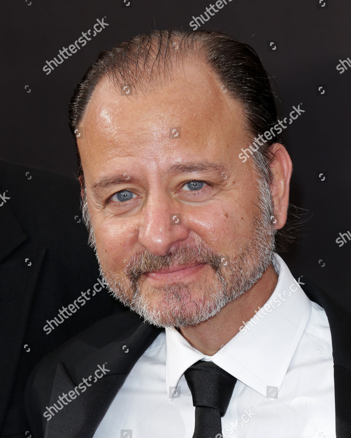 Fisher Stevens Editorial Stock Photo - Stock Image | Shutterstock