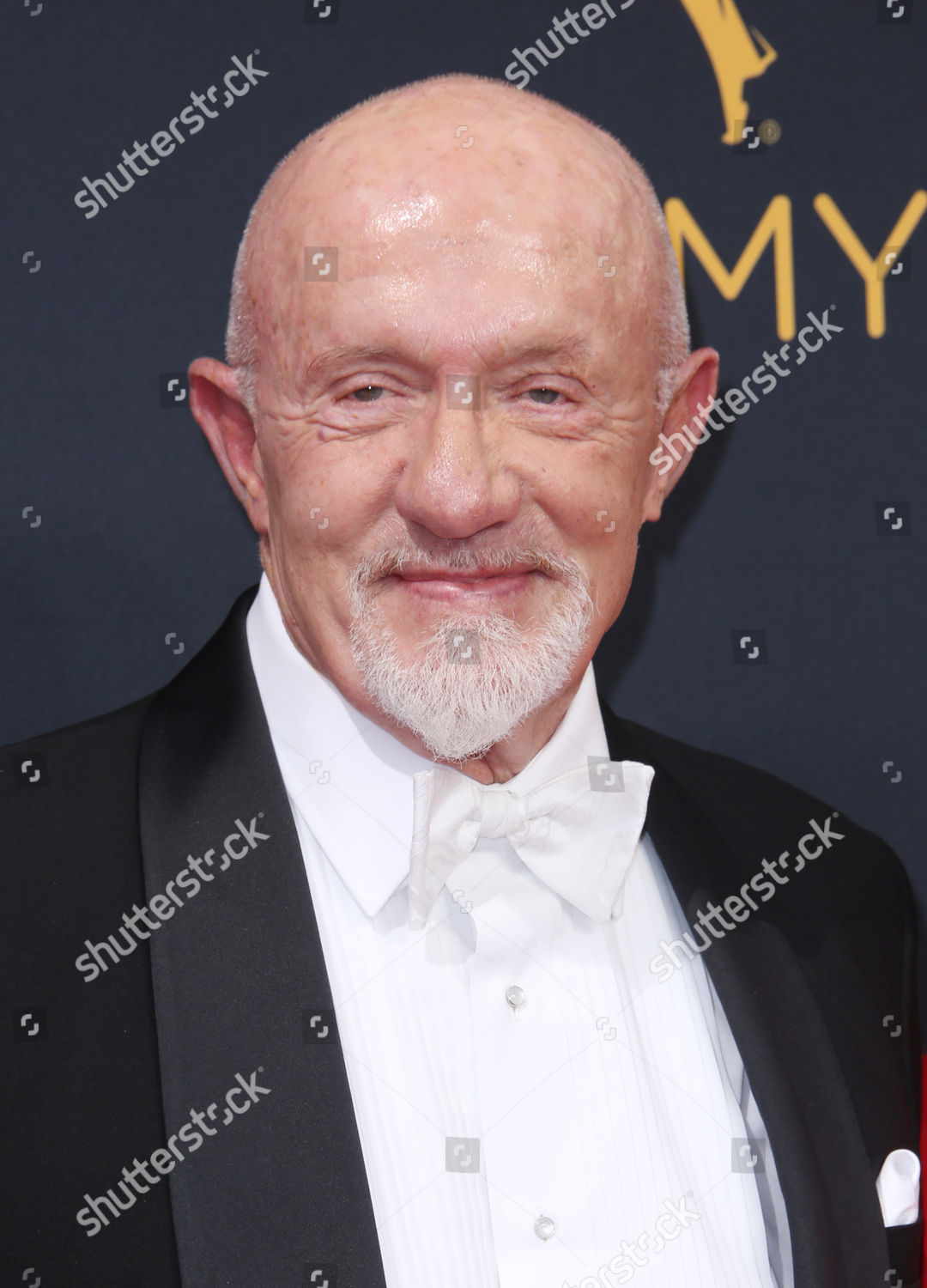 Jonathan Banks Editorial Stock Photo - Stock Image | Shutterstock