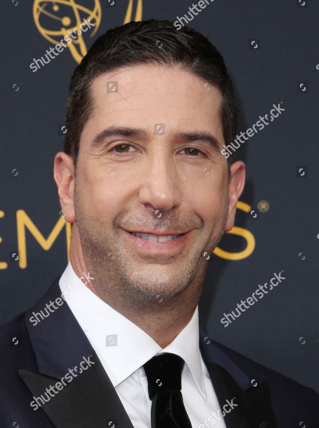 David Schwimmer Editorial Stock Photo - Stock Image | Shutterstock