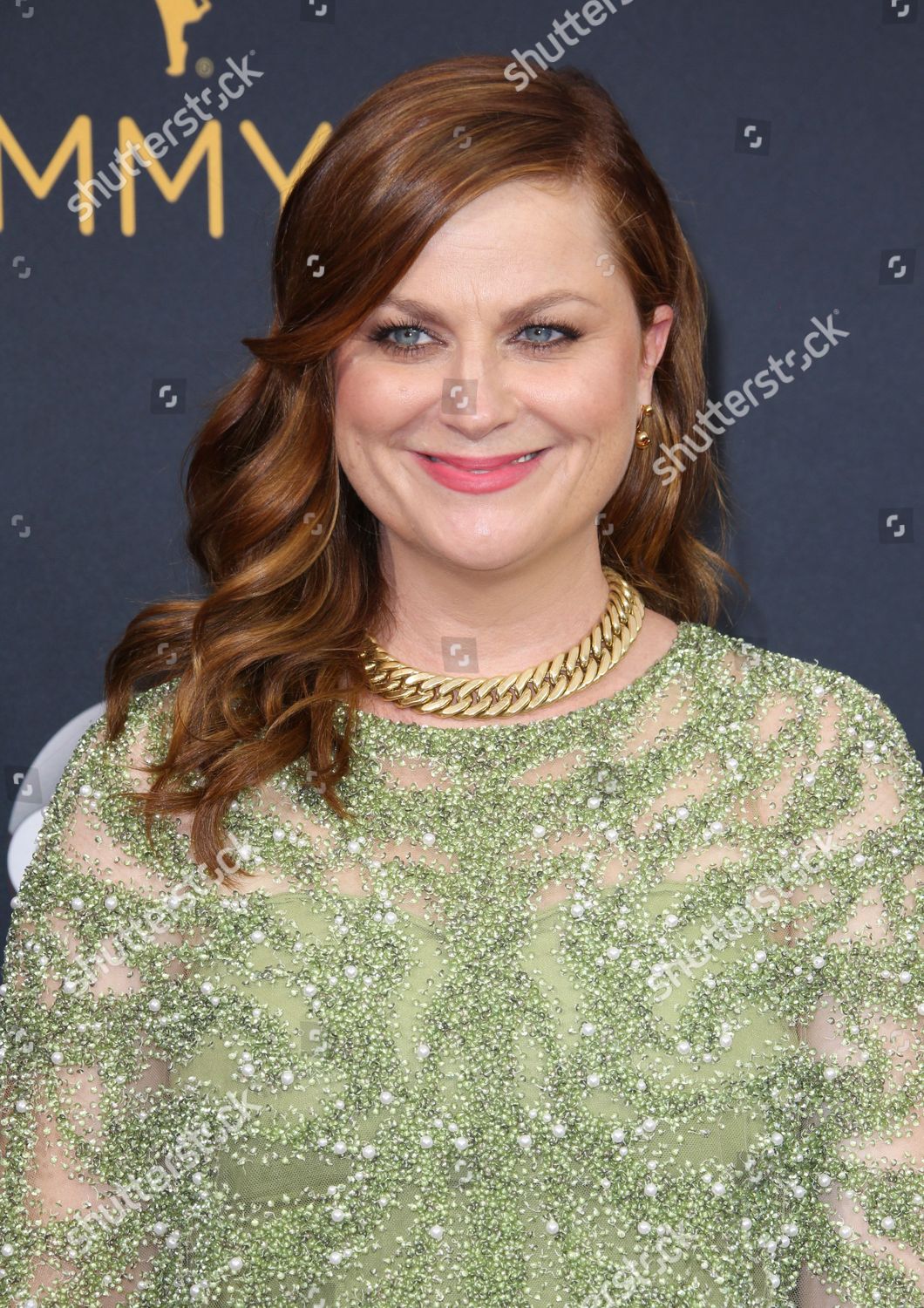 Amy Poehler Editorial Stock Photo - Stock Image | Shutterstock
