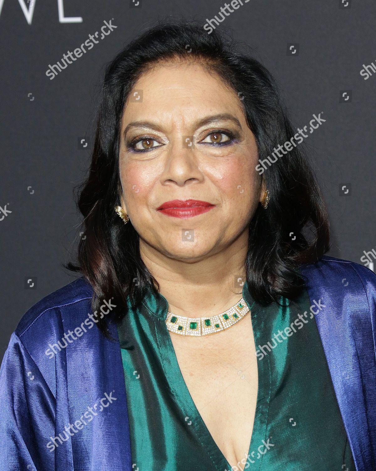 Mira Nair Editorial Stock Photo Stock Image Shutterstock