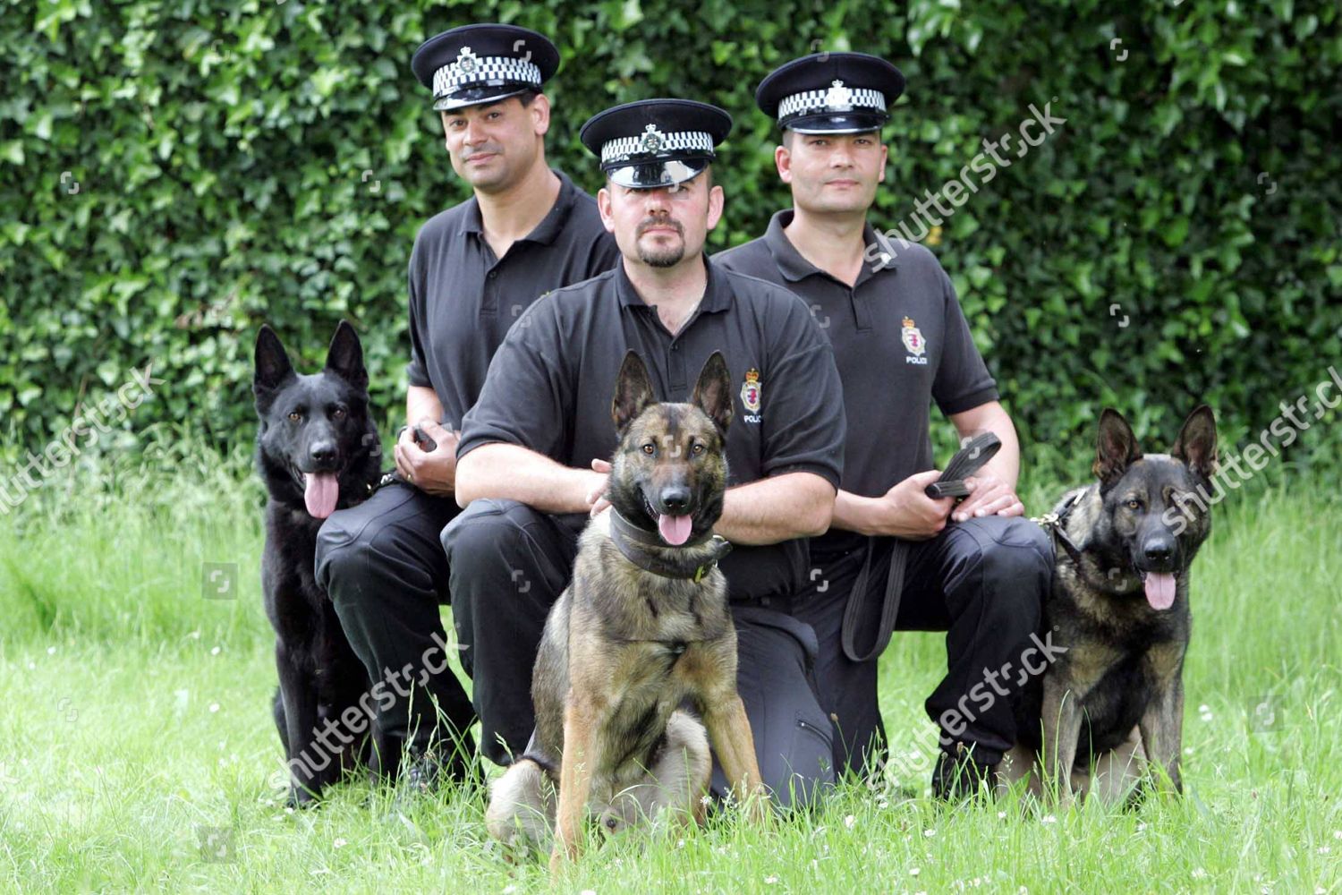 what language do police dogs speak