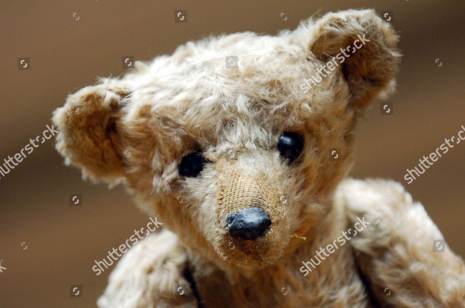 oldest teddy bear