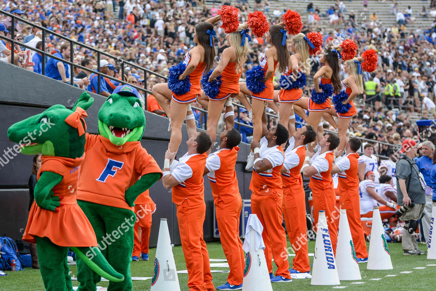 Florida Gator Cheerleaders During Ncaa Football Editorial Stock Photo ...