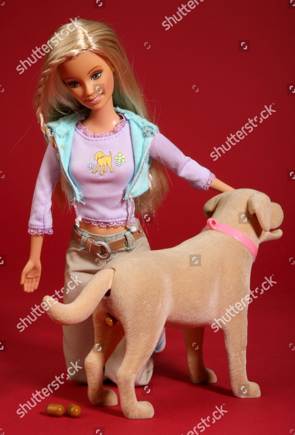 barbie labrador