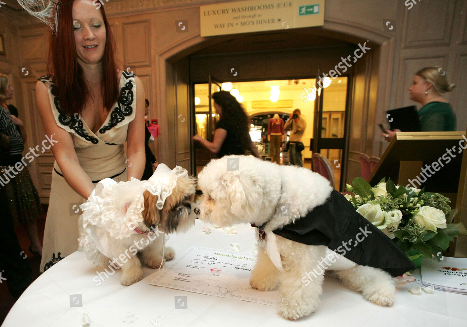 are dogs allowed in harrods