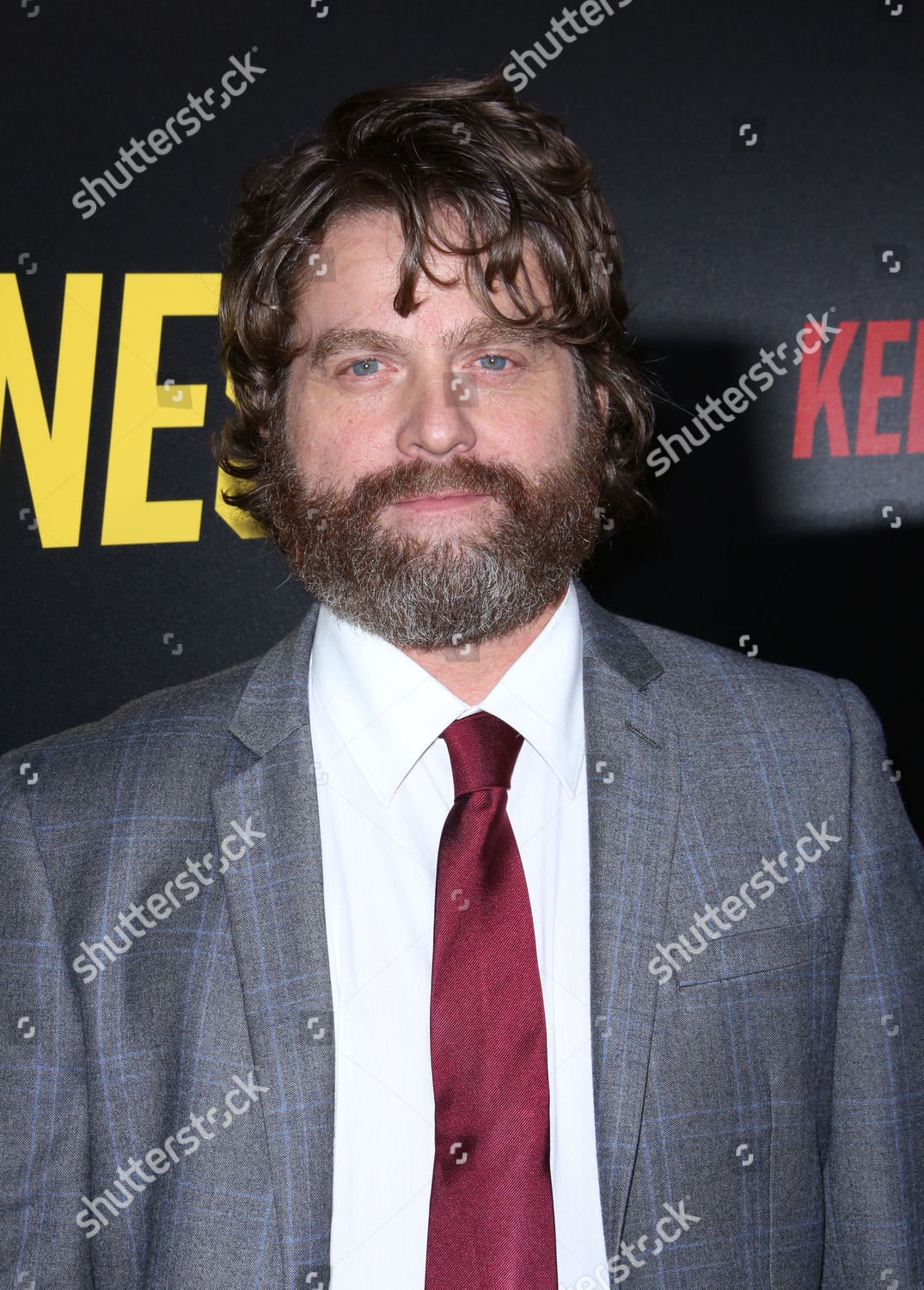 Zach Galifianakis Editorial Stock Photo - Stock Image | Shutterstock