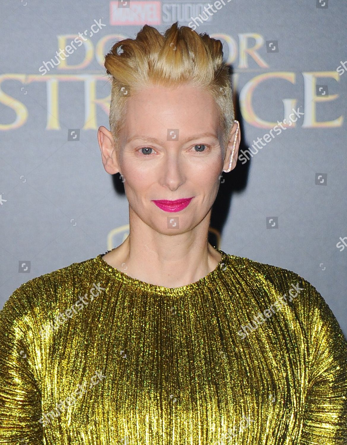 Tilda Swinton Editorial Stock Photo - Stock Image | Shutterstock