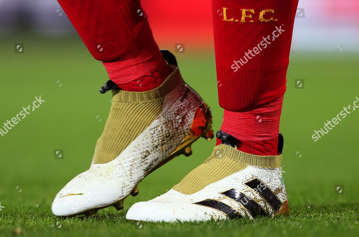 laceless Adidas football boots worn by Roberto Editorial Stock Photo -  Stock Image | Shutterstock