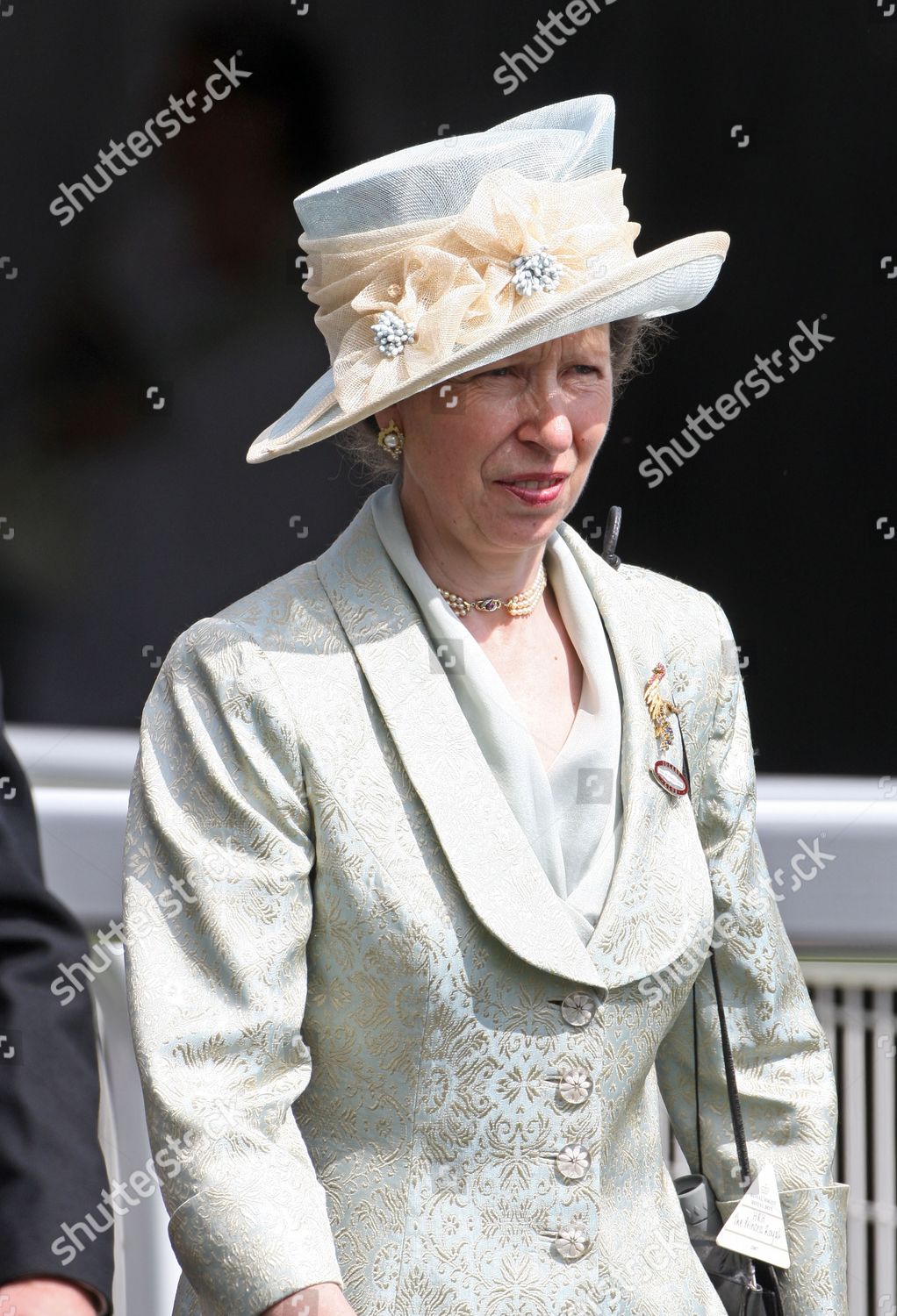 Princess Anne Editorial Stock Photo - Stock Image | Shutterstock