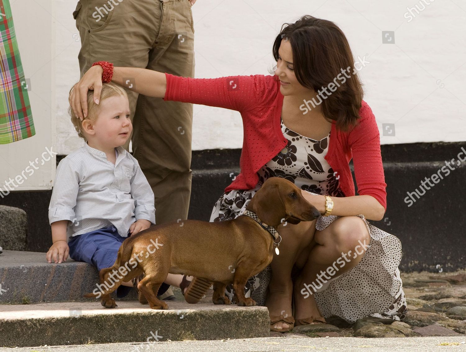 danish-royal-family-photocall-and-changing-of-the-guard-at-grasten-palace-denmark-shutterstock-editorial-680143t.jpg