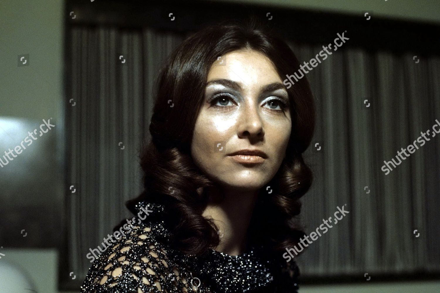 Big Breadwinner Hog Edgeworth Rosemary Mchale Editorial Stock Photo