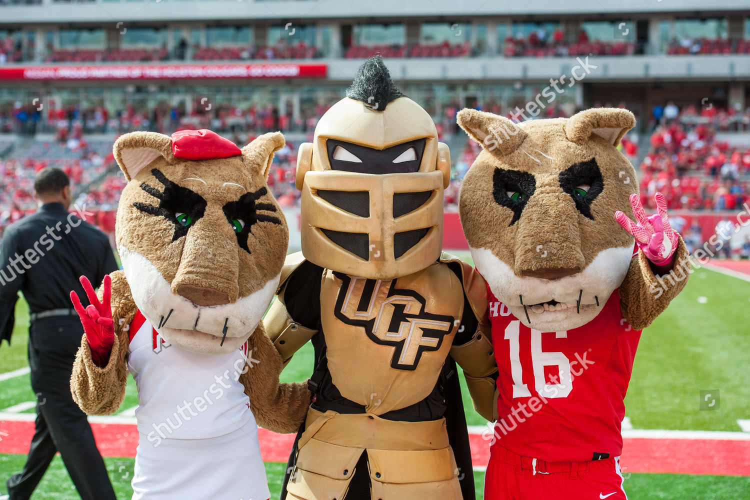 Houston Cougars Mascots Sasha Shasta Pose Editorial Stock Photo - Stock 