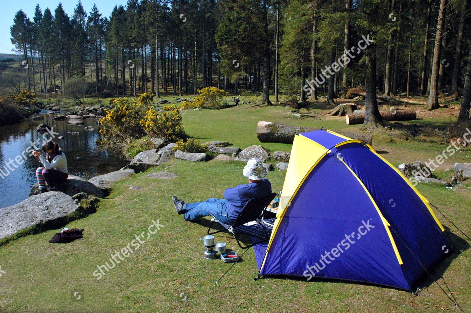 Camping Dartmoor Bellever Forest Near River Dart Editorial Stock Photo Stock Image Shutterstock