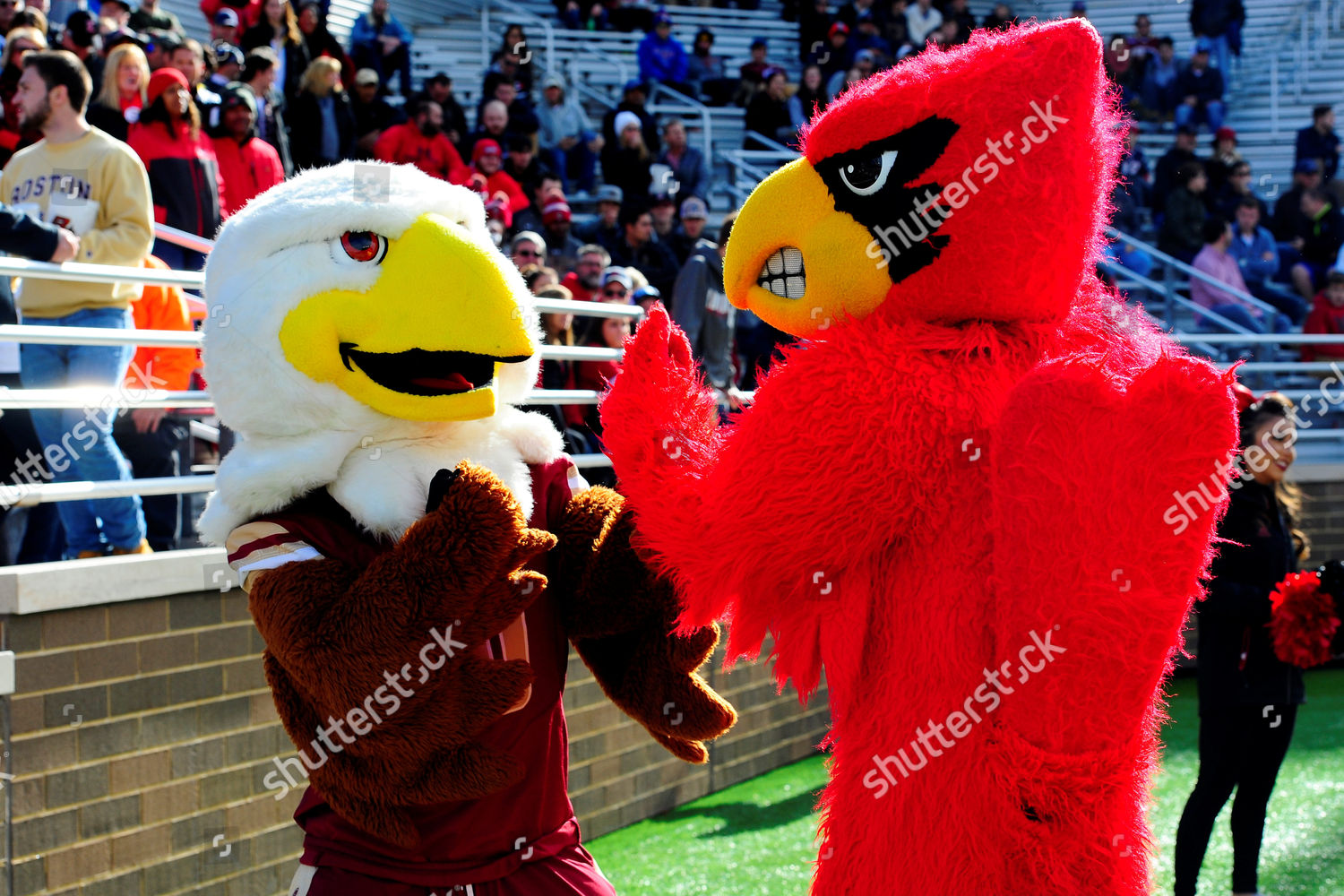 Louisville Cardinals Mascot Pin